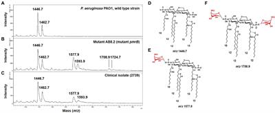 Detection of Colistin Resistance in Pseudomonas aeruginosa Using the MALDIxin Test on the Routine MALDI Biotyper Sirius Mass Spectrometer